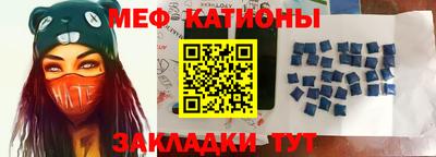 стафф Шелехов