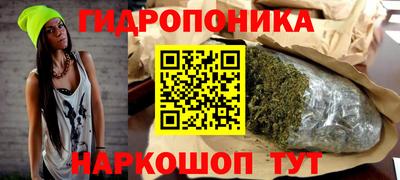 крисы Шахты