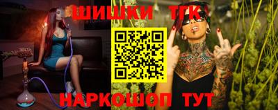 стафф Шелехов