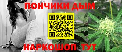 стафф Шелехов