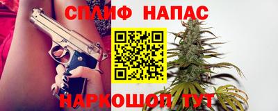 крисы Шахты