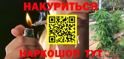 крисы Шахты