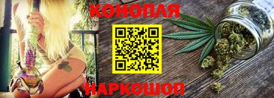 крисы Шахты