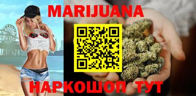 крисы Шахты