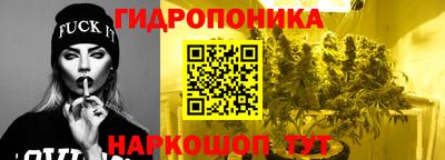 крисы Шахты