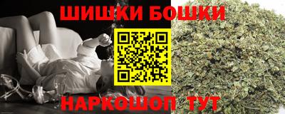 стафф Шелехов