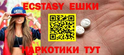 стафф Шелехов