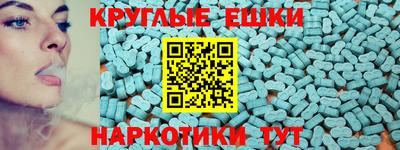 крисы Шахты