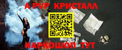 стафф Шелехов