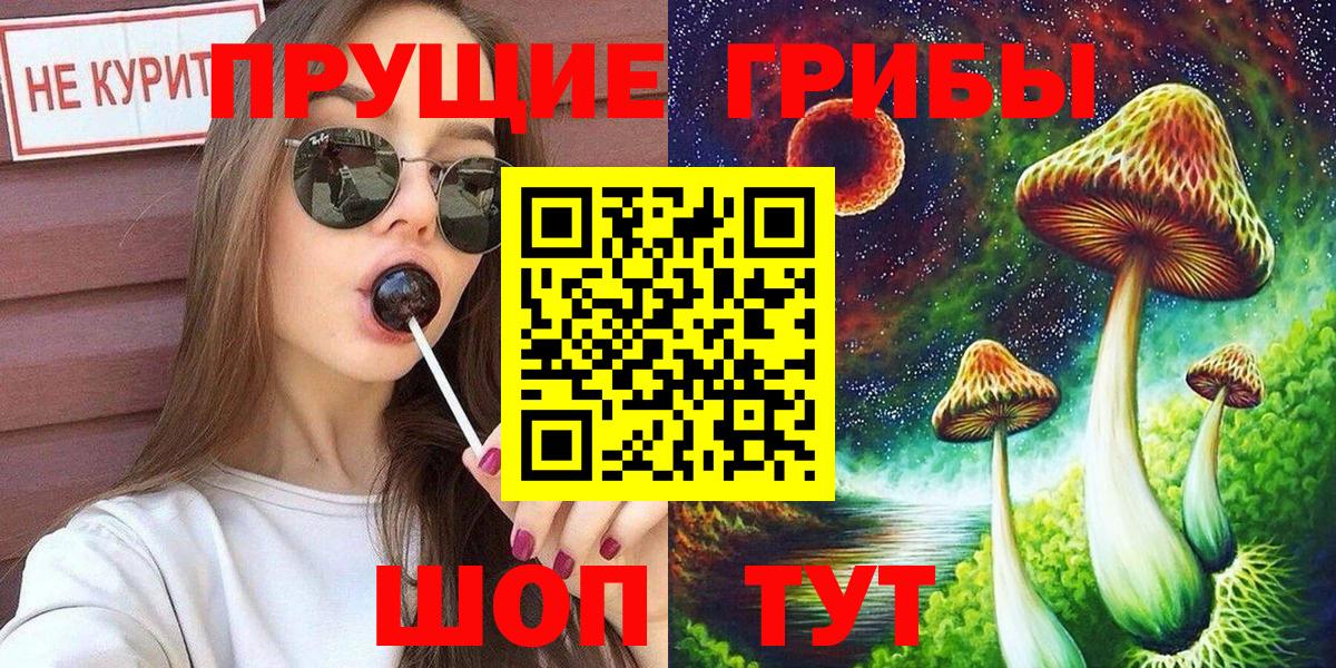 Псилоцибиновые грибы Cubensis Белая Калитва